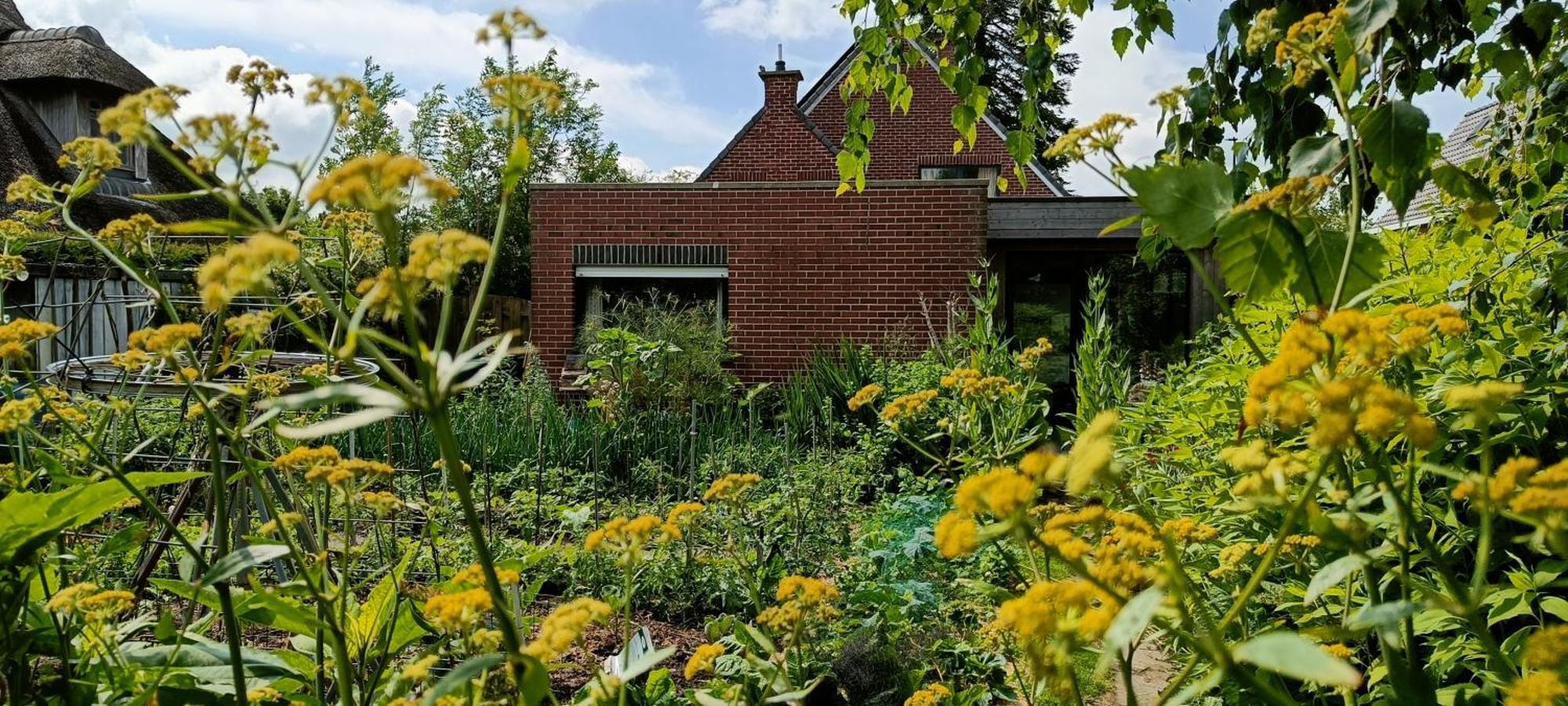 Apartamento Bliss - Gate To The Flemish Ardens Oudenaarde Exterior foto